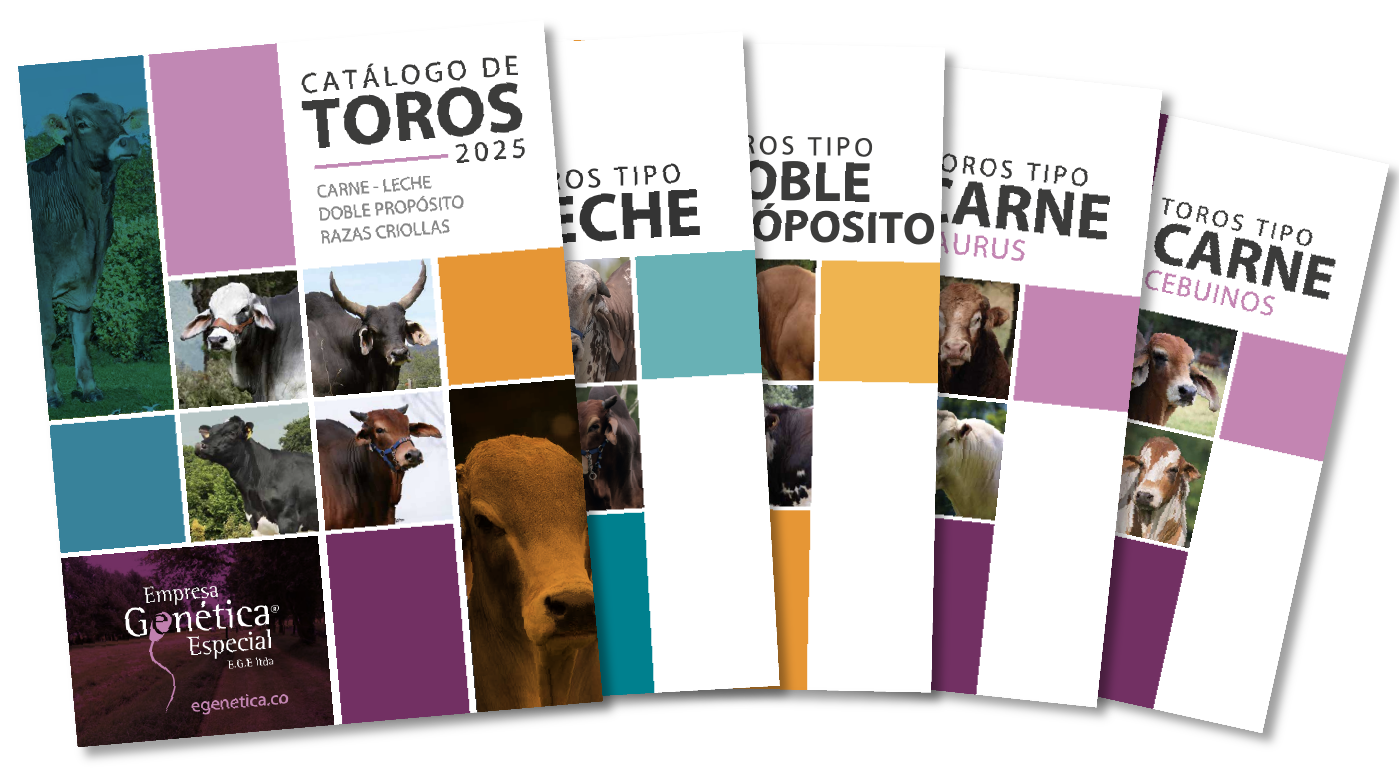 EGE-catalogo-toros-nacionales